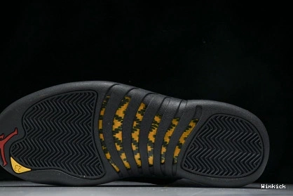 Air Jordan "Taxi" 12 130690-125 1029